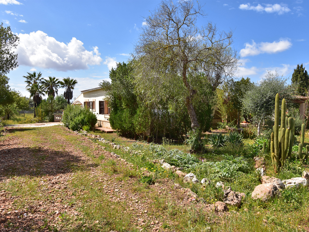 Загородный дом для продажи в Mallorca South 14