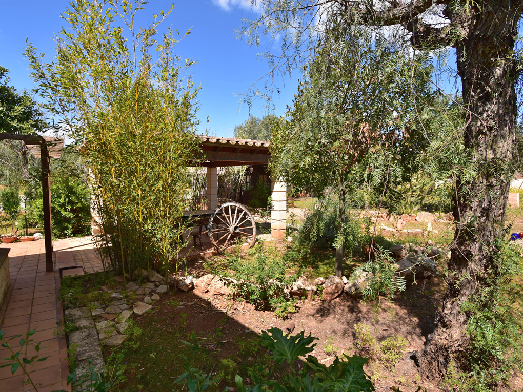 Casas de Campo en venta en Mallorca South 15