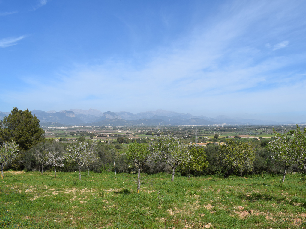 Plot for sale in Madrid City 1
