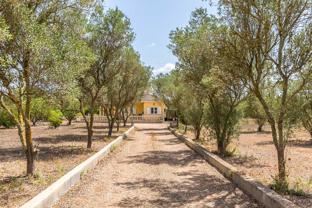 Landhaus zum Verkauf in Mallorca South 18