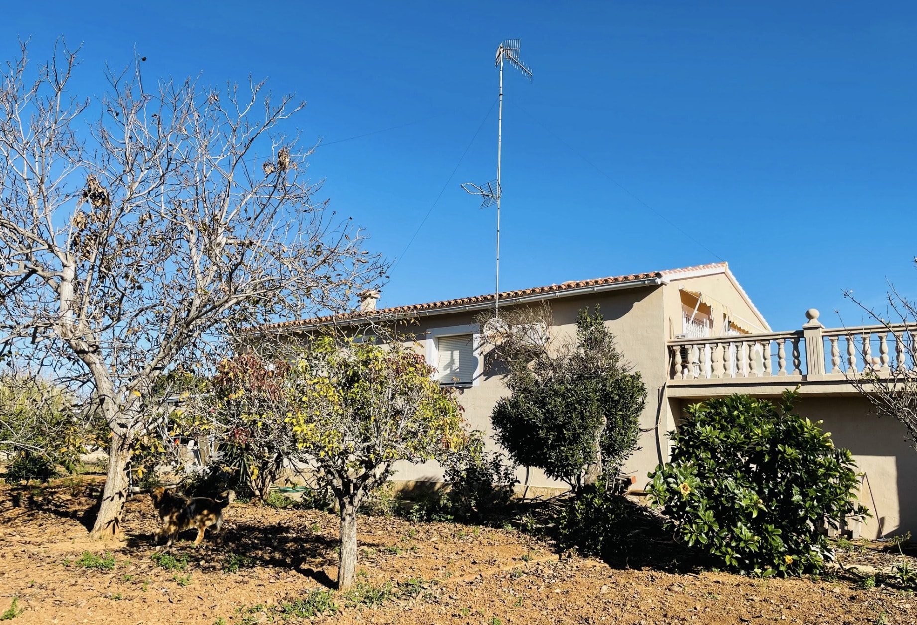 Casas de Campo en venta en Alicante 6