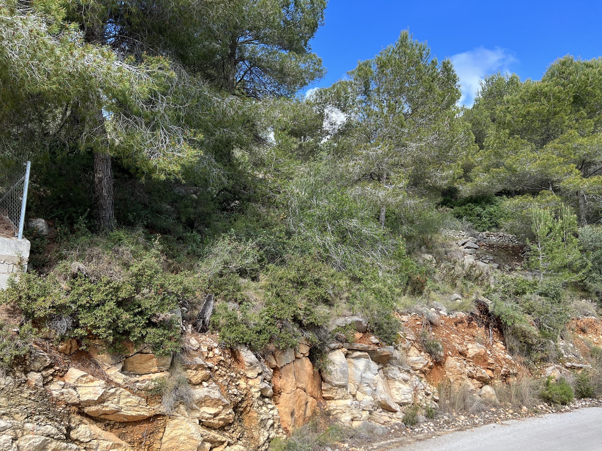 Plot for sale in Jávea and surroundings 6