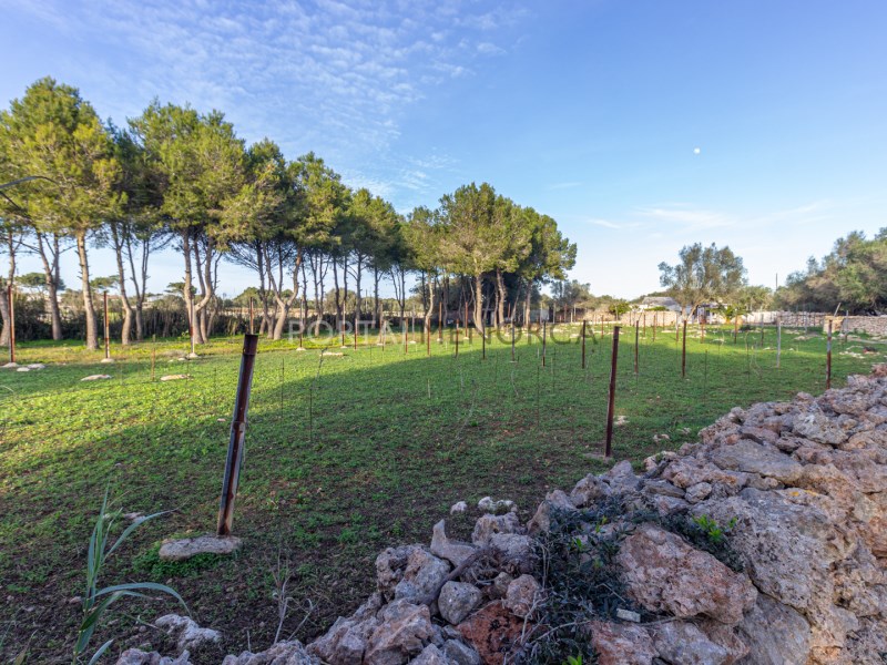 Countryhome for sale in Menorca East 38