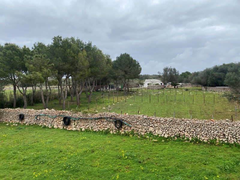 Countryhome for sale in Menorca East 40