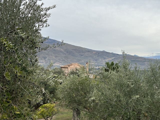 Landhaus zum Verkauf in Granada and surroundings 26