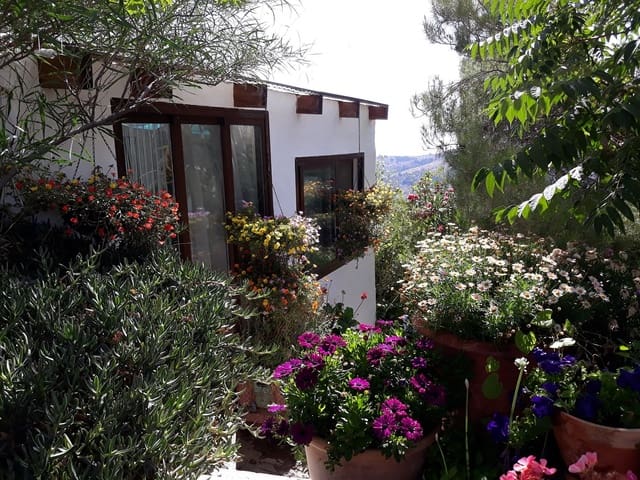 Countryhome for sale in La Alpujarra 4