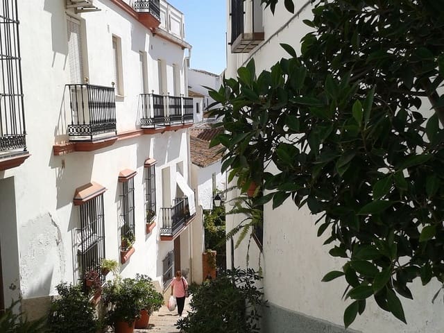 Villa te koop in Málaga 27