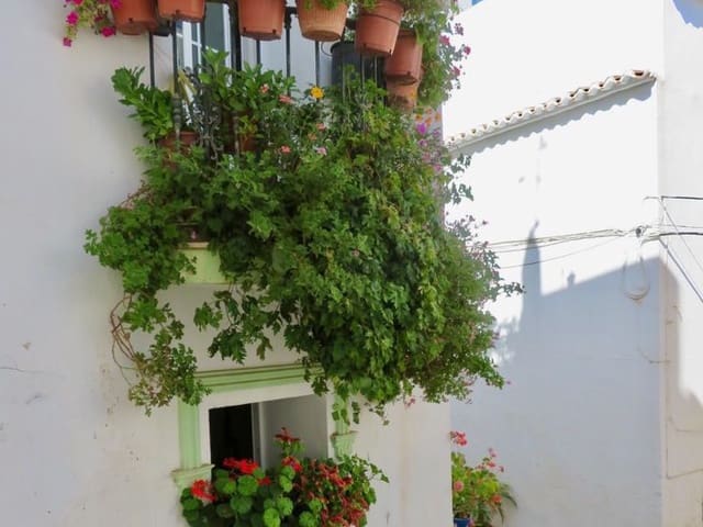 Townhouse for sale in Cómpeta 38
