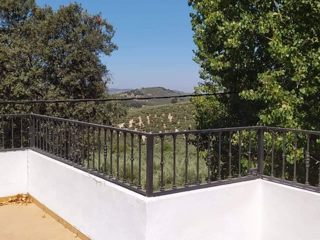 Countryhome for sale in Granada and surroundings 25