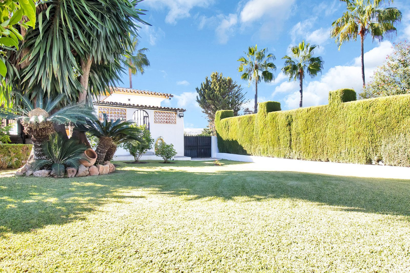 Villa te koop in Marbella - San Pedro and Guadalmina 38