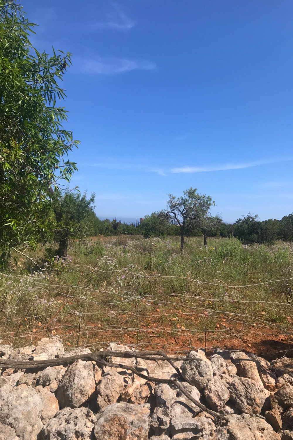Plot for sale in Huelva and its coast 5