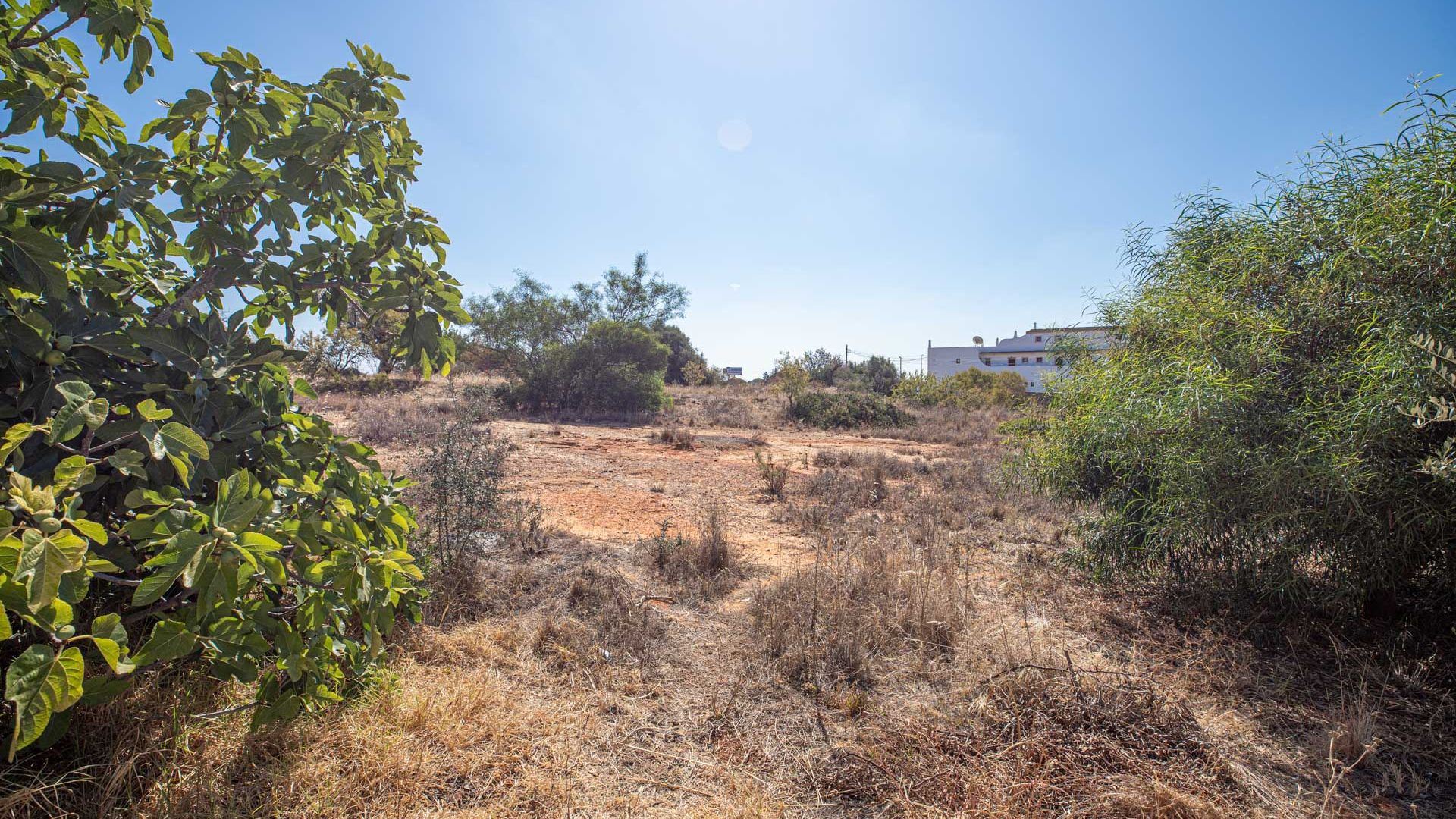Plot for sale in Silves 6