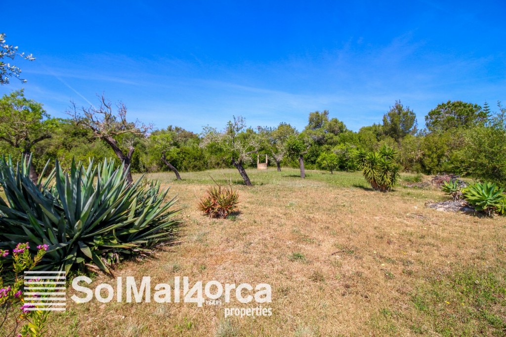 Countryhome for sale in Mallorca North 8