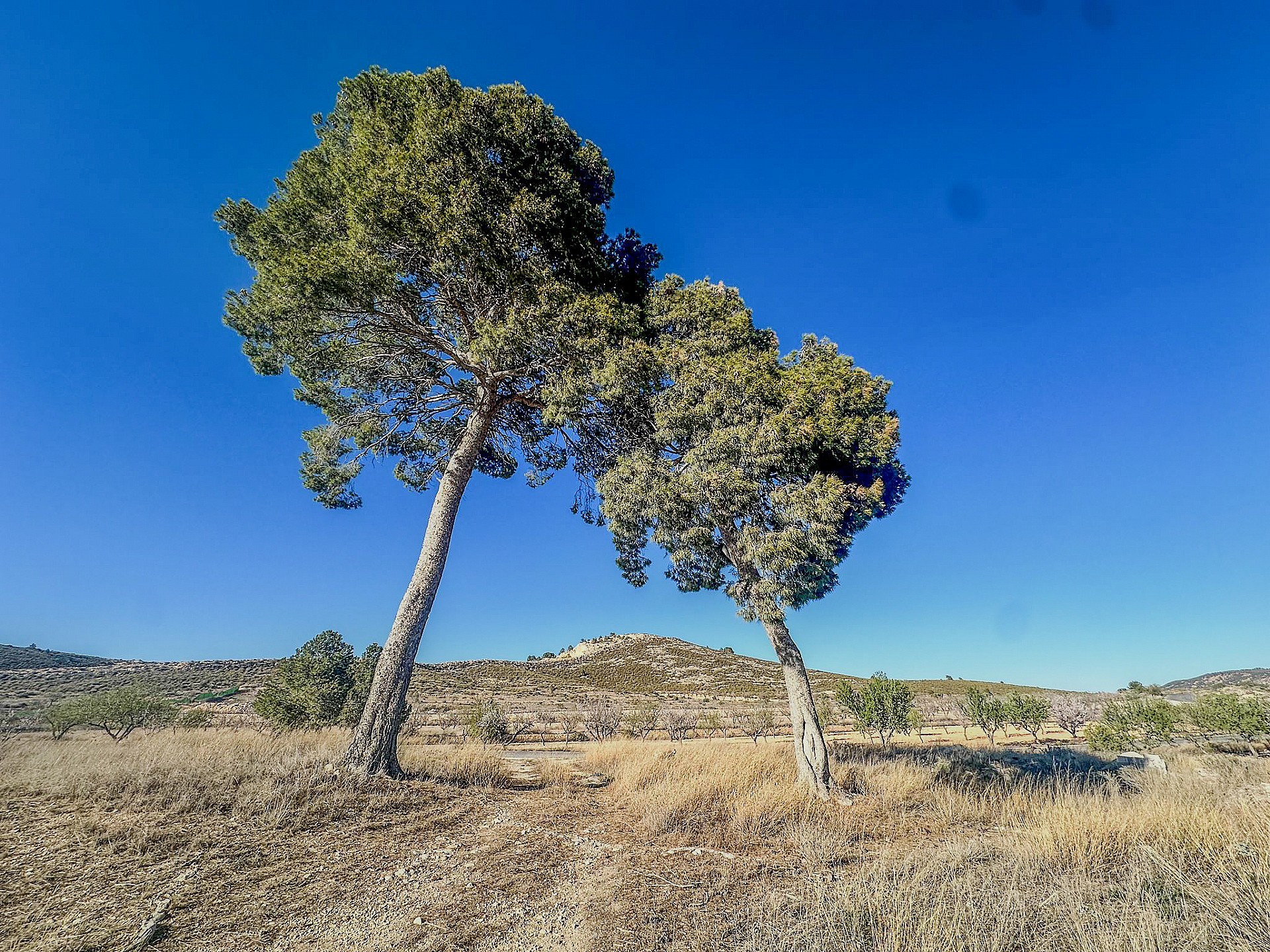 Adosada en venta en Alicante 34