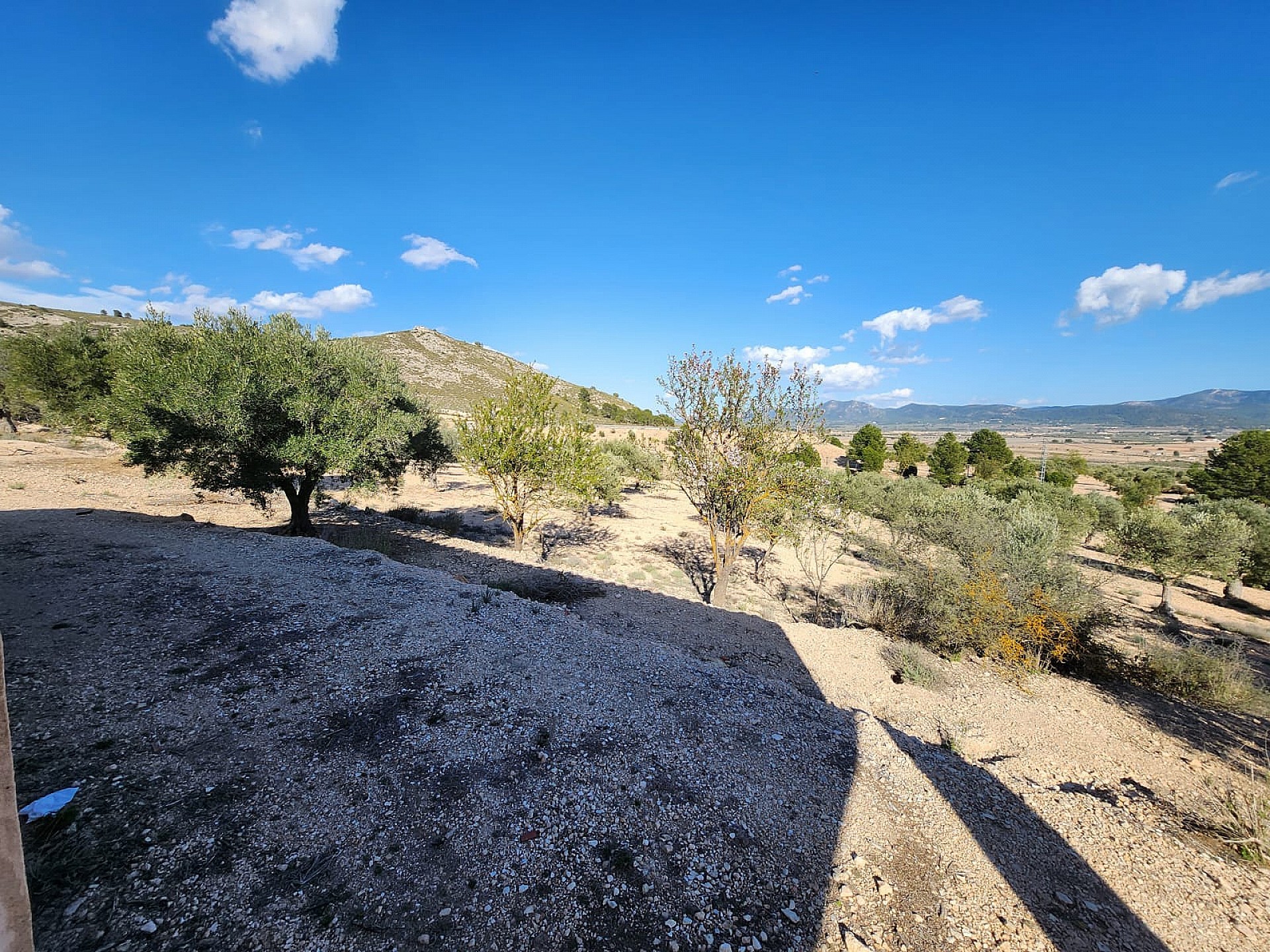 Casas de Campo en venta en Alicante 7