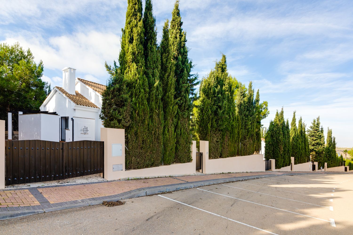 Villa à vendre à Guardamar and surroundings 53
