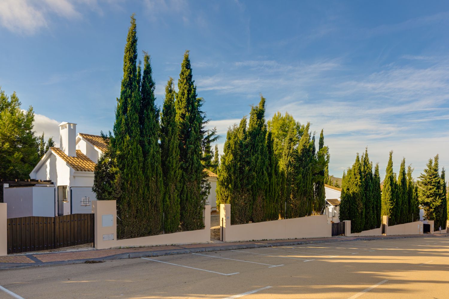 Villa for sale in Guardamar and surroundings 68