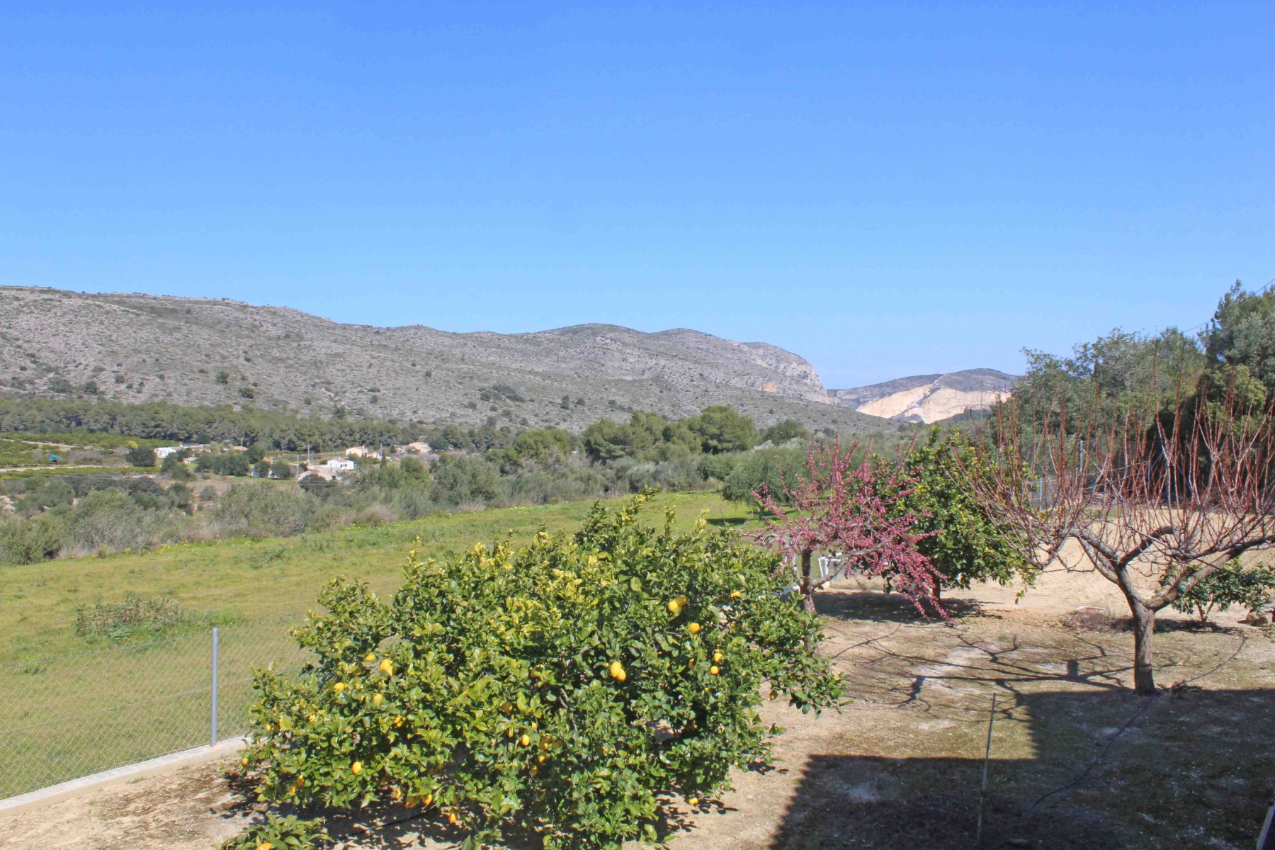 Countryhome for sale in Alicante 26