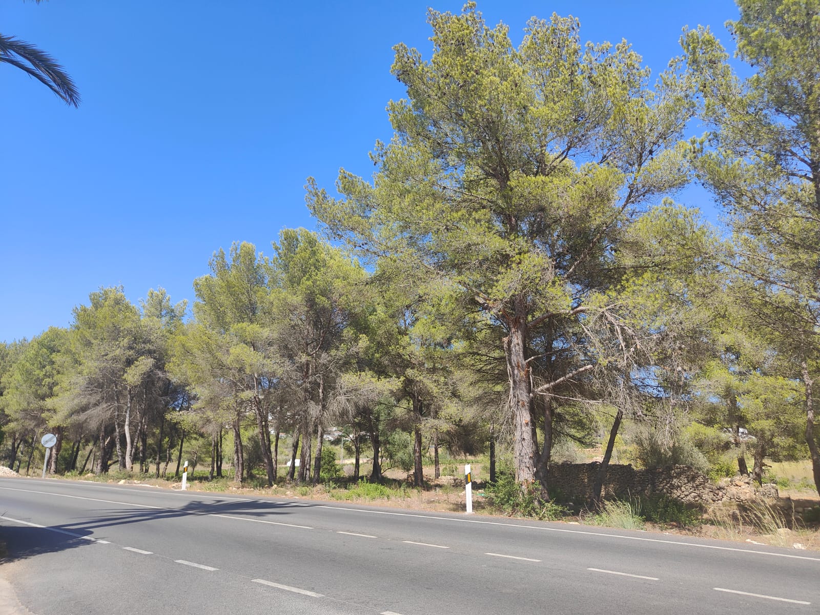 Plot for sale in Jávea and surroundings 10
