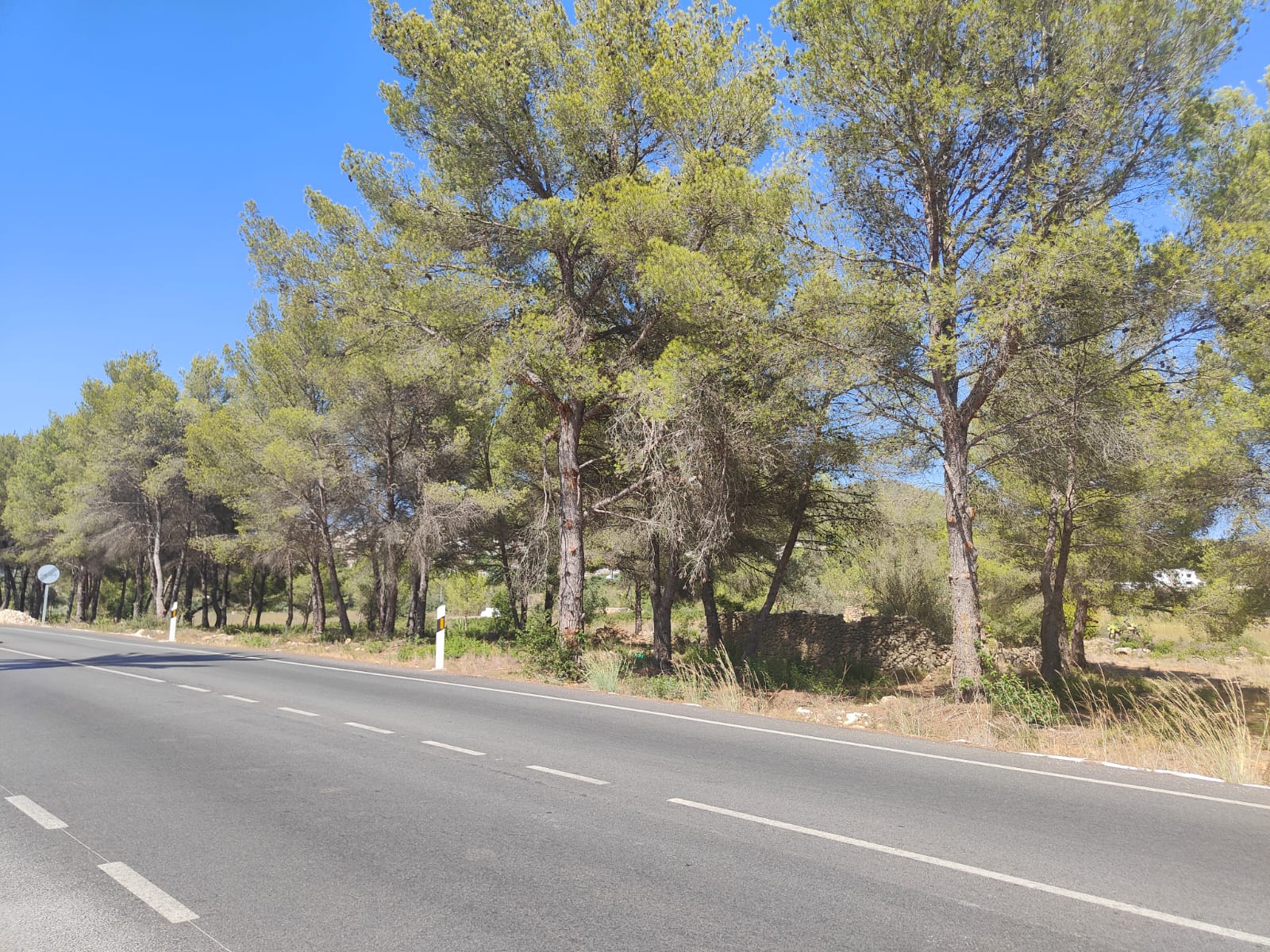 Plot for sale in Jávea and surroundings 11