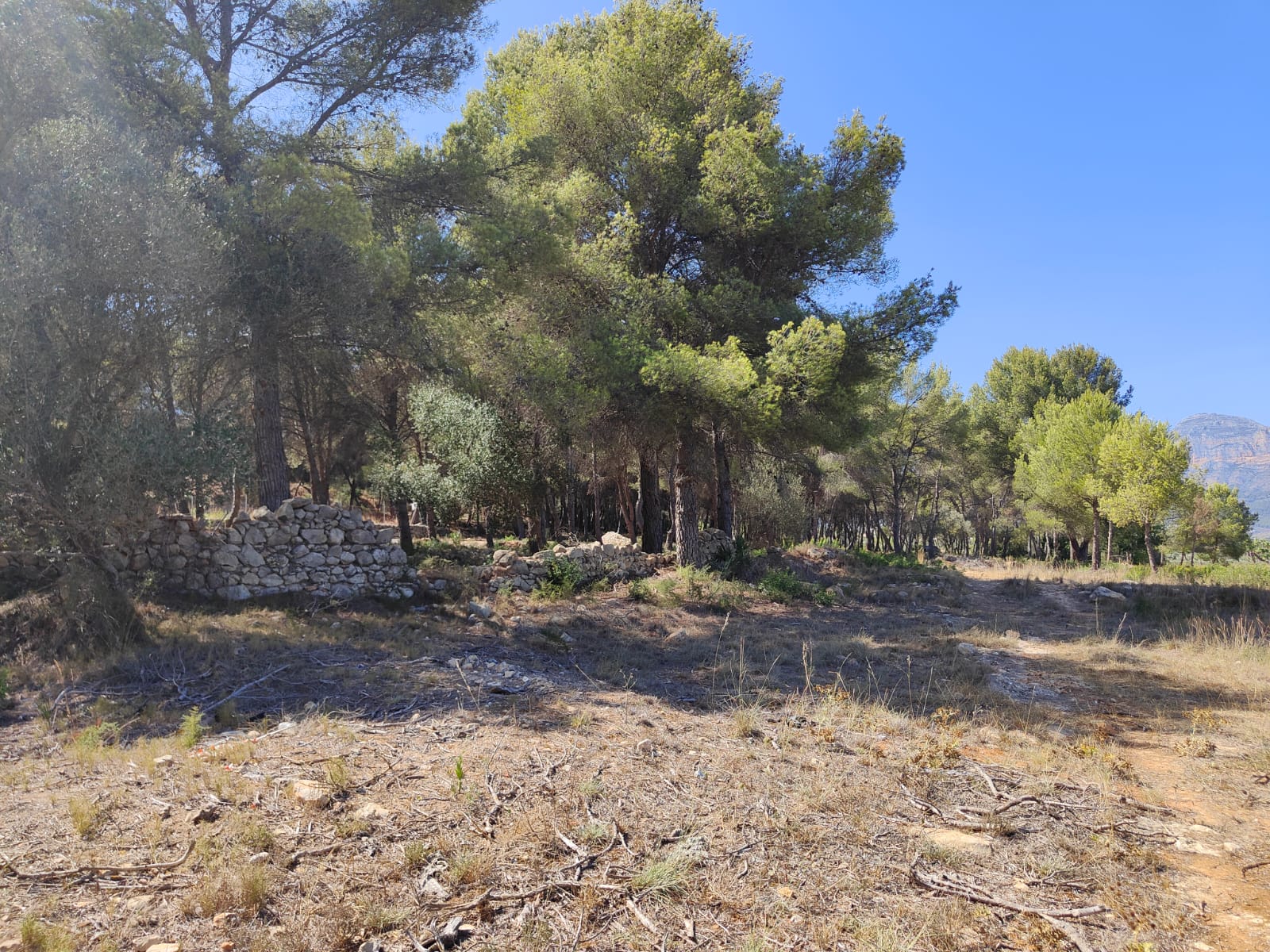 Plot for sale in Jávea and surroundings 8