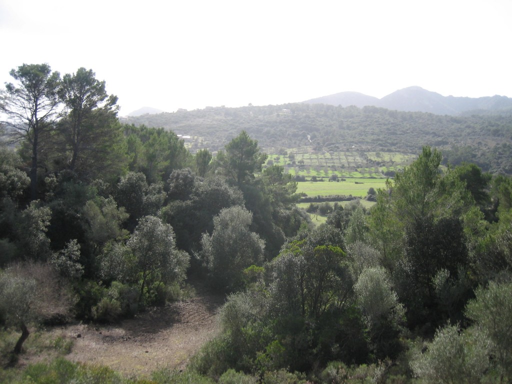 Maison de campagne à vendre à Mallorca East 18