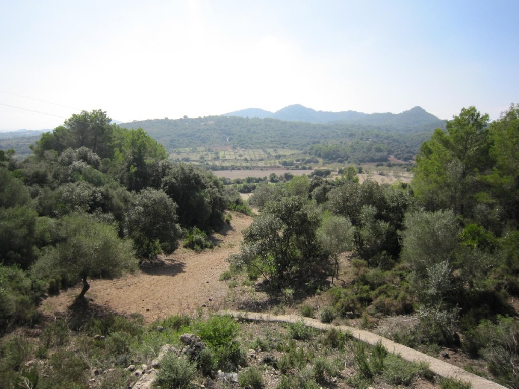 Maison de campagne à vendre à Mallorca East 19