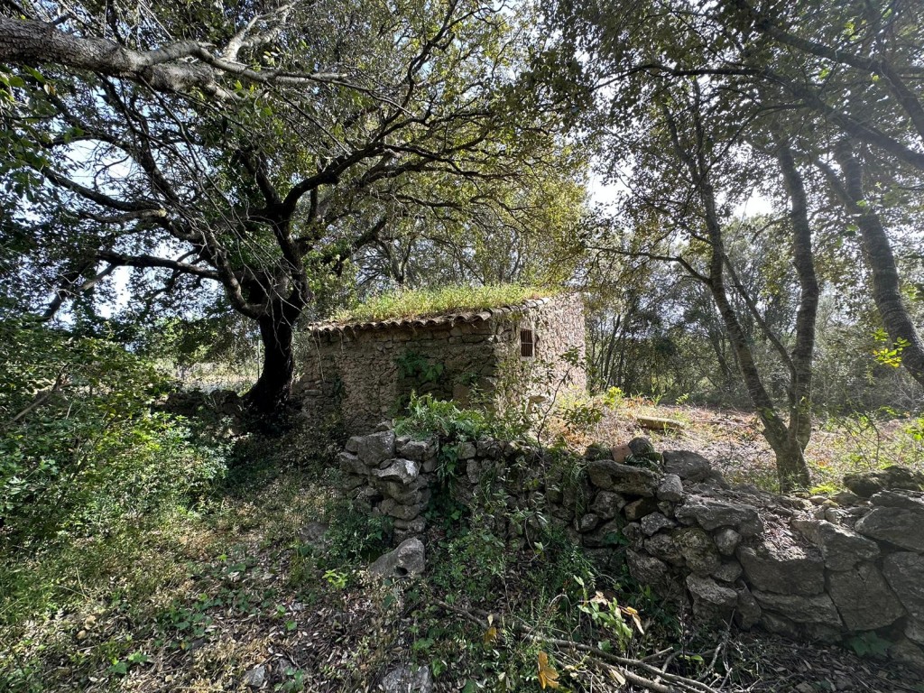 Загородный дом для продажи в Mallorca East 13