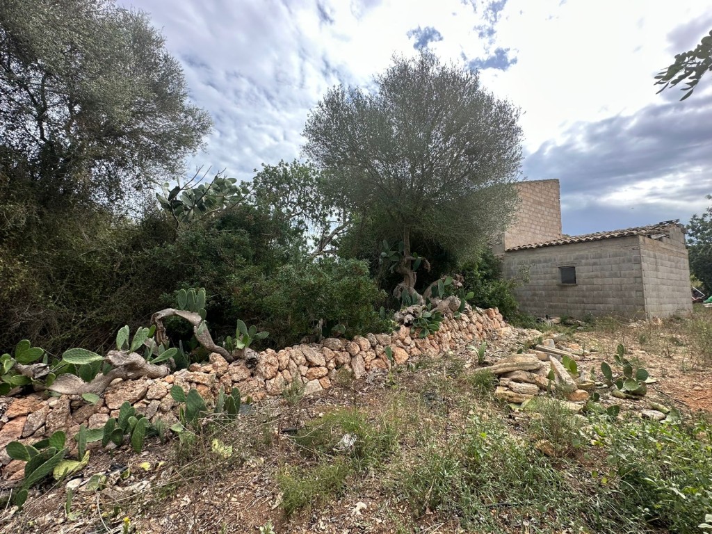 Casas de Campo en venta en Mallorca East 8