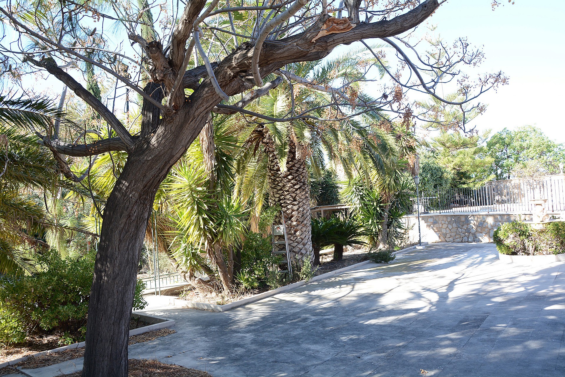 Загородный дом для продажи в Alicante 31