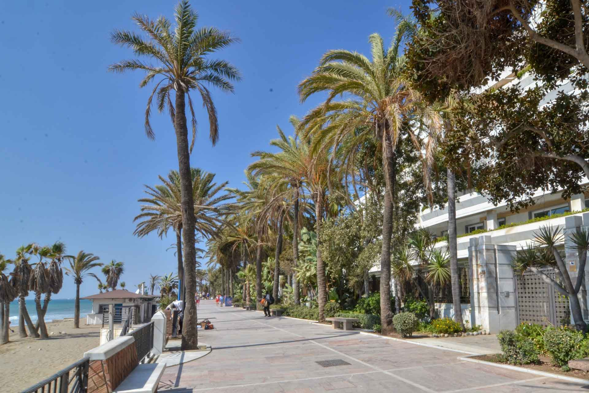 Appartement te koop in Marbella - Golden Mile and Nagüeles 24
