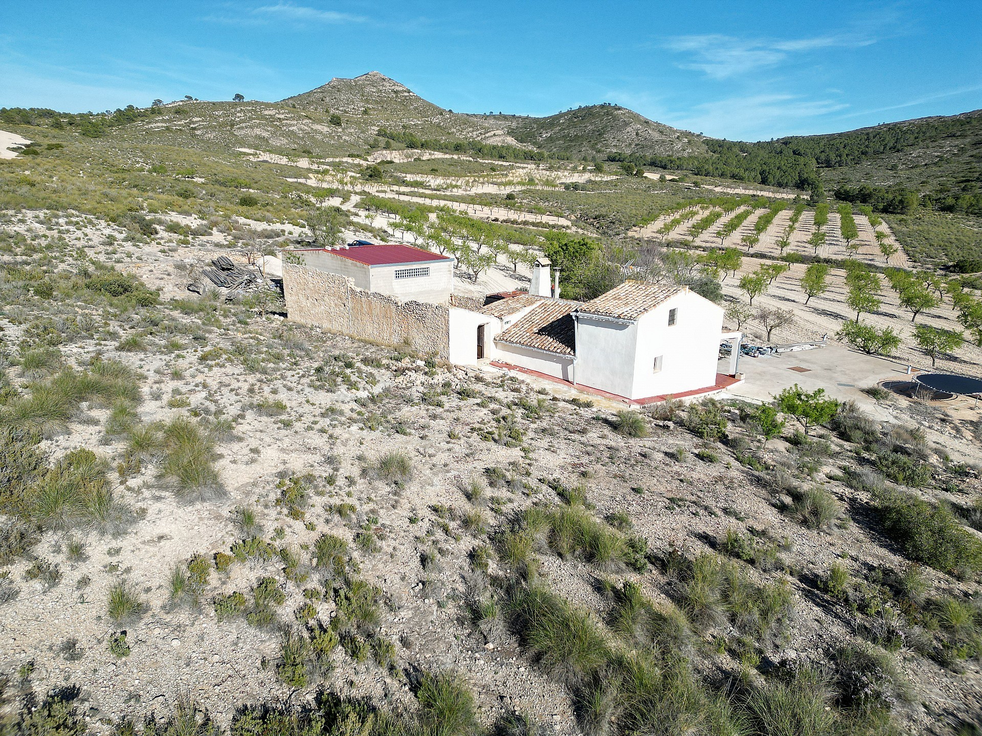 Casas de Campo en venta en Guardamar and surroundings 24