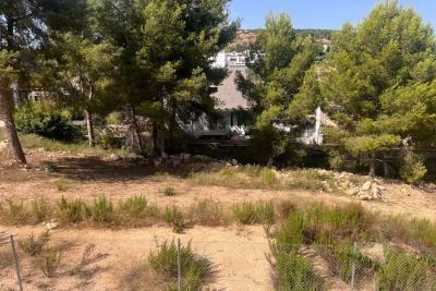 Plot for sale in Guardamar and surroundings 16
