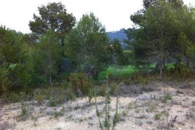 Plot for sale in Guardamar and surroundings 19