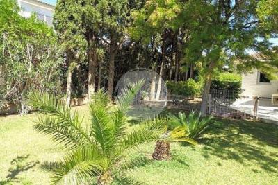 Villa for sale in Guardamar and surroundings 45