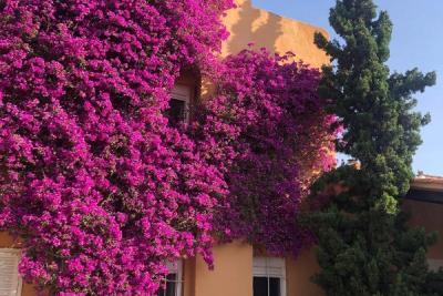 Villa te koop in Ibiza 22