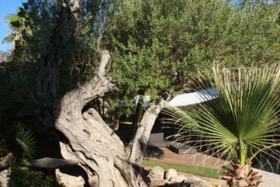 Villa for sale in Ibiza 36