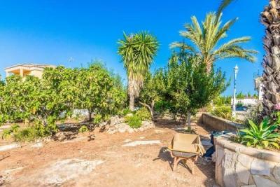 Villa for sale in Guardamar and surroundings 41