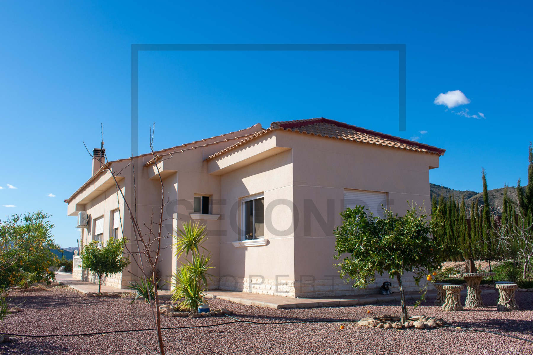 Villa for sale in Guardamar and surroundings 42