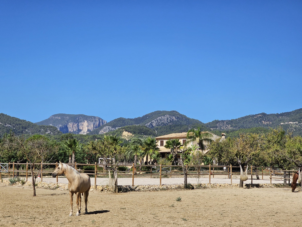 Countryhome for sale in Mallorca East 24