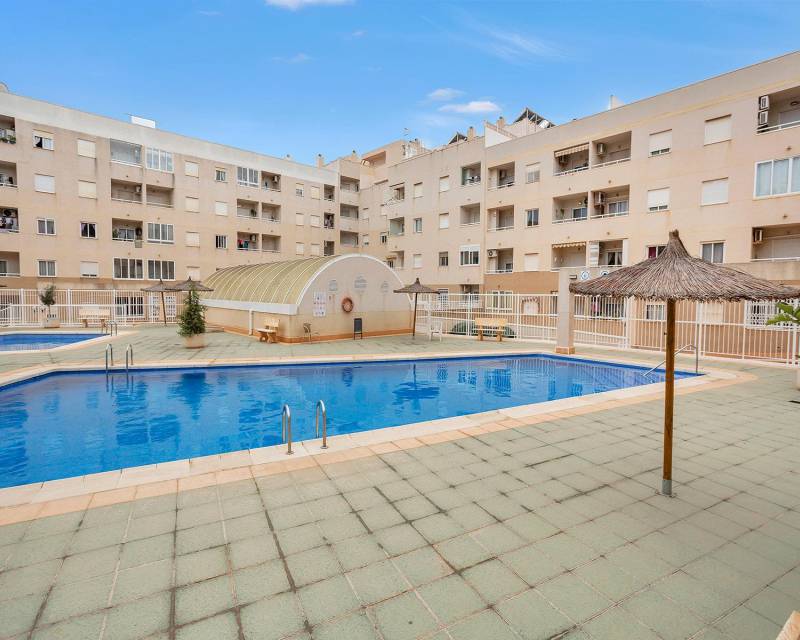 Property Image 574249-torrevieja-apartment-2-1