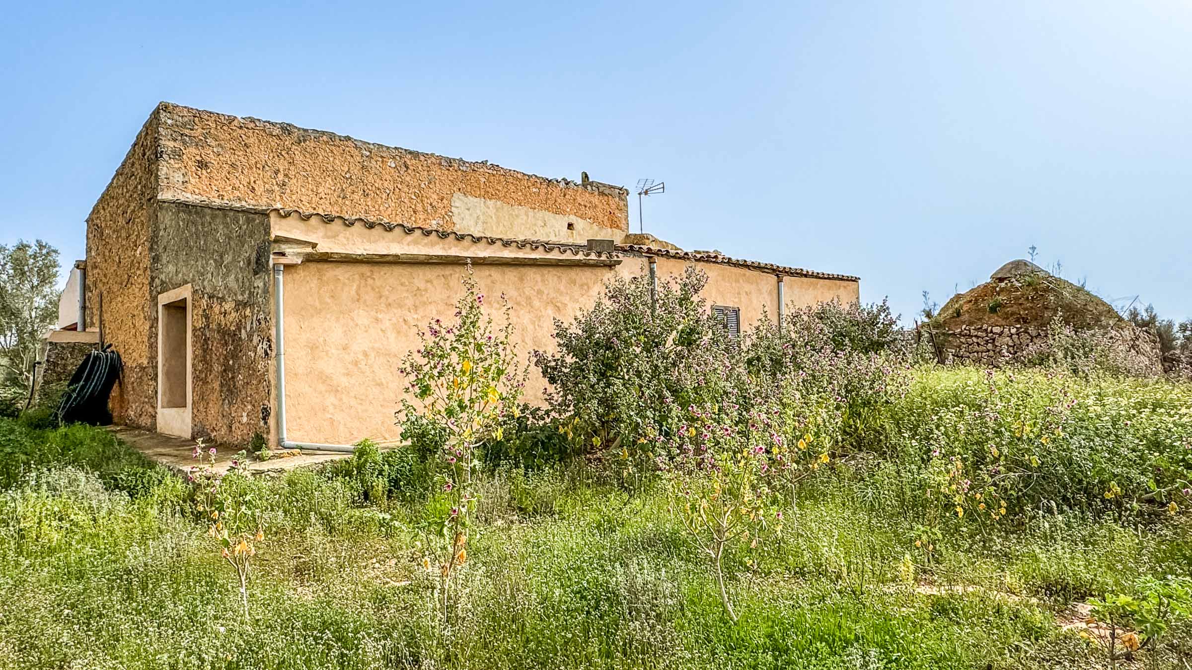 Casas de Campo en venta en Mallorca South 14