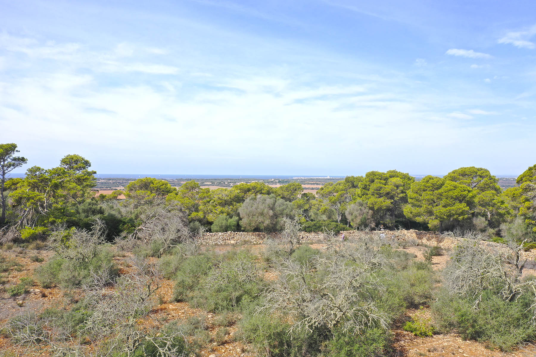 Размер собственного участка для продажи в Mallorca South 4