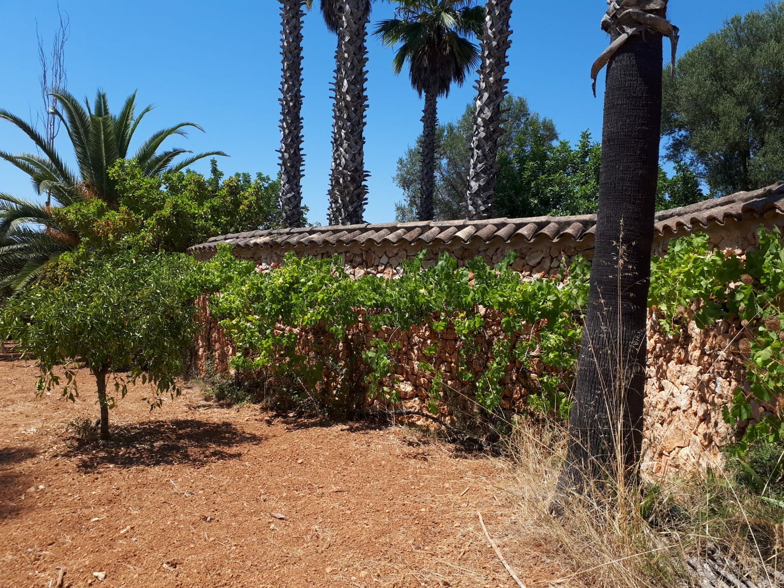 Countryhome for sale in Mallorca East 2