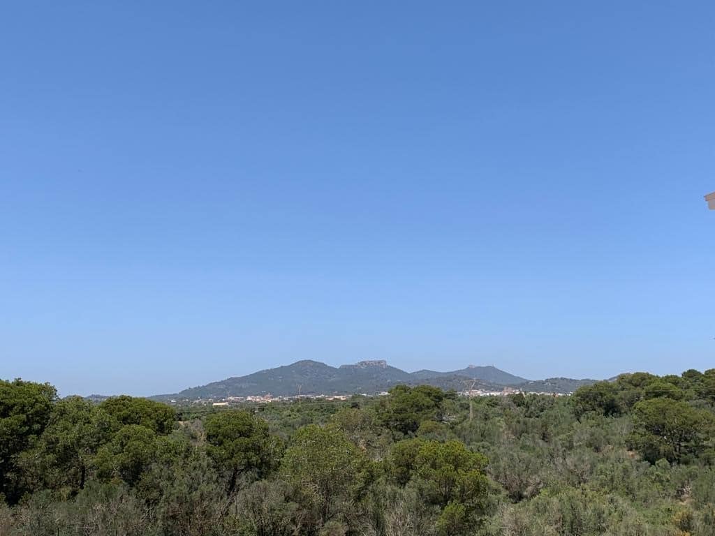 Apartment for sale in Mallorca South 5