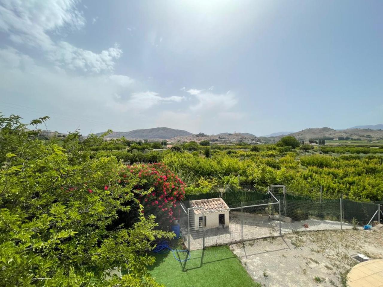 Villa for sale in Guardamar and surroundings 33