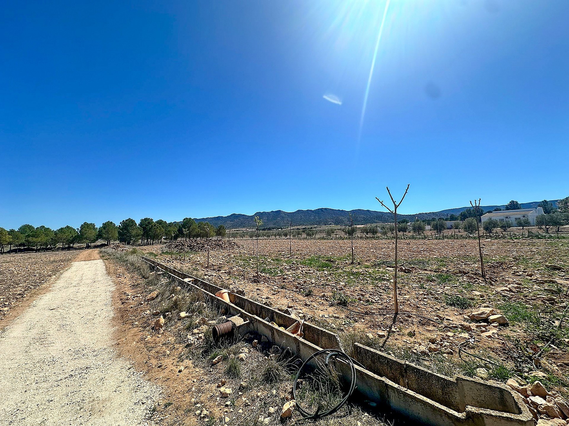Plot for sale in Guardamar and surroundings 5