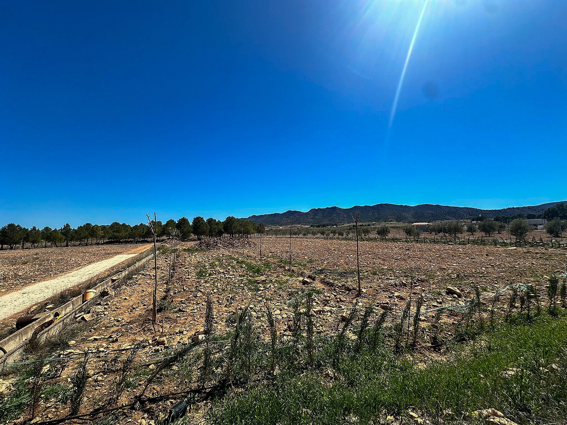 Plot à vendre à Guardamar and surroundings 4