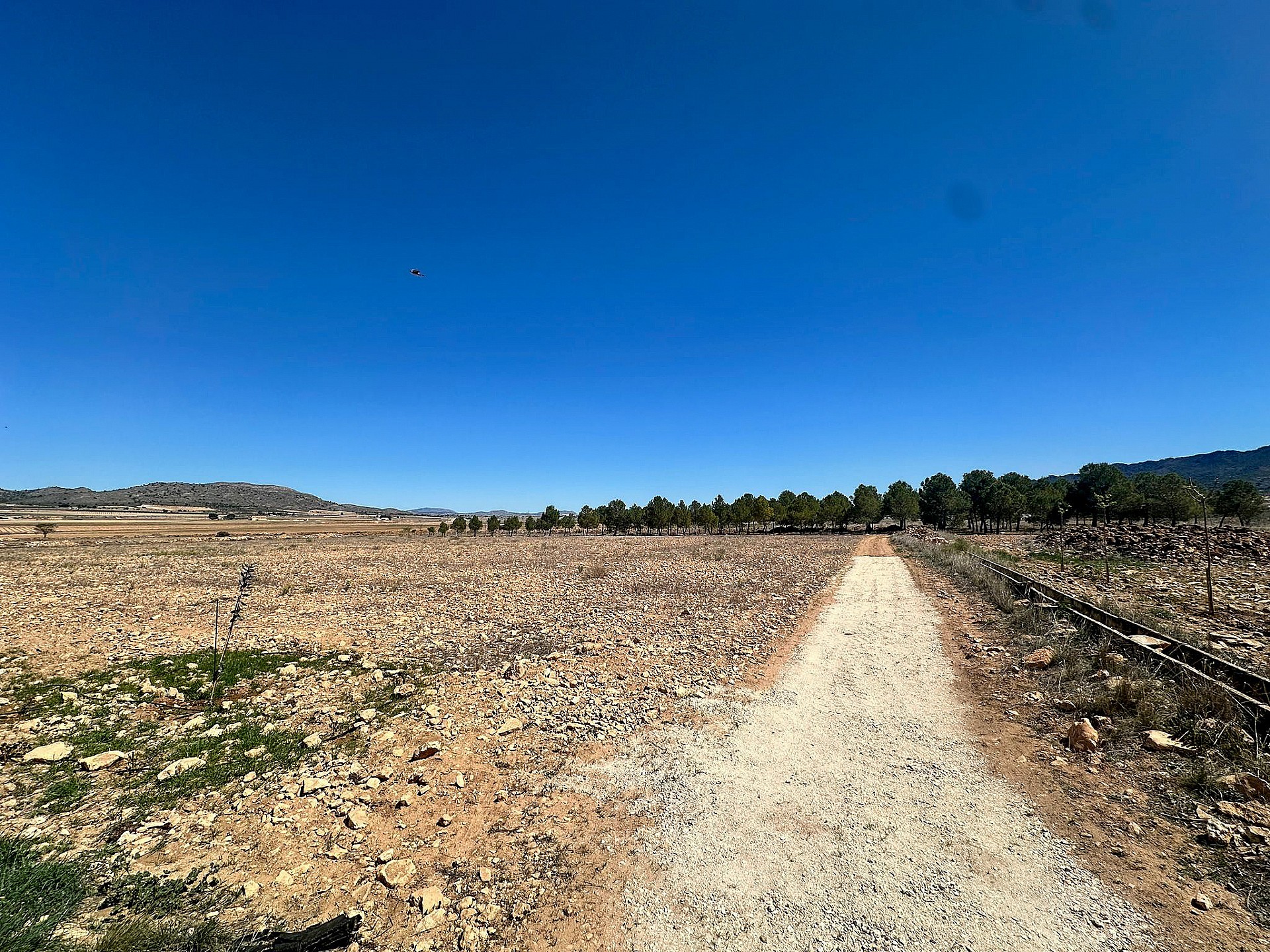 Plot à vendre à Guardamar and surroundings 6