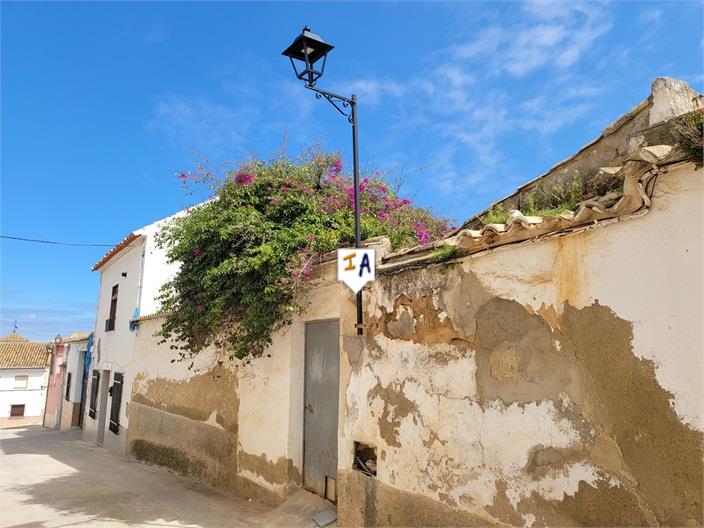 Maison de ville à vendre à Guardamar and surroundings 16